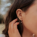 Margot Hoops